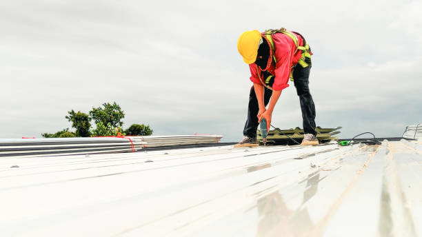 Best Solar Panel Roofing Installation  in Madison, WI